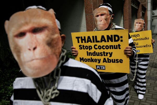 Активисты движения за права животных из организации Люди за этичное обращение с животными (PETA) возле посольства Королевства Таиланд в Макати, Филиппины