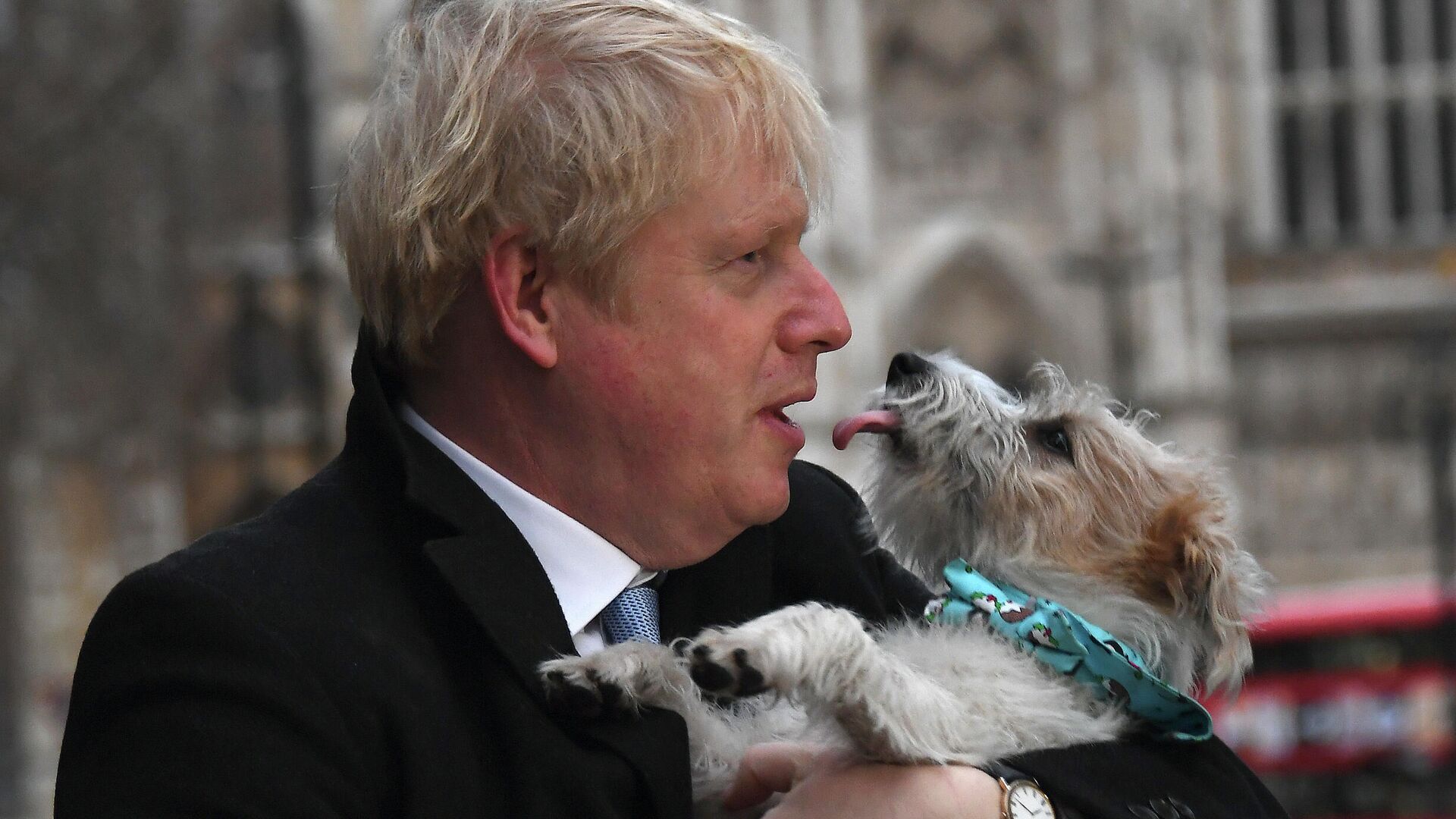 Премьер-министр Великобритании Борис Джонсон со своей собакой по кличке Дилэн - РИА Новости, 1920, 02.12.2020