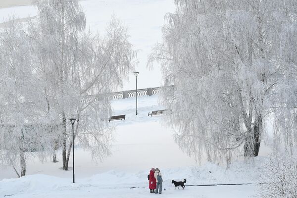 Заснеженные деревья и прохожие на Михайловской набережной в Новосибирске