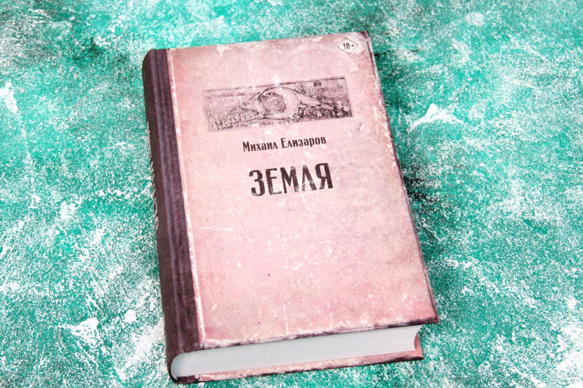 Книга Земля Михаила Елизарова - РИА Новости, 1920, 11.12.2020
