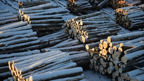Погрузочная площадка предприятия заготовки и глубокой переработки древесины в Верхней Туре
