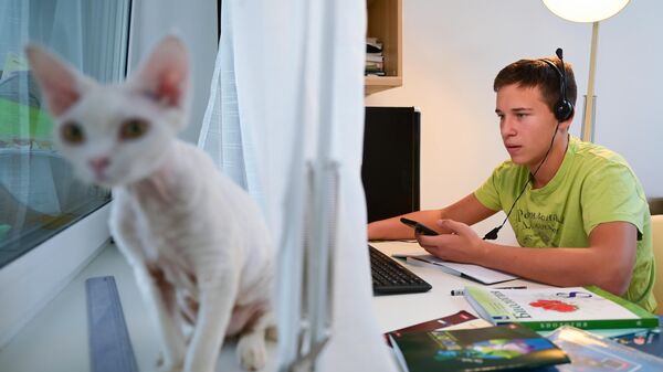 Ученик школы №1580 8 Д класса Федор Пятаков во время онлайн занятий у себя дома в Москве