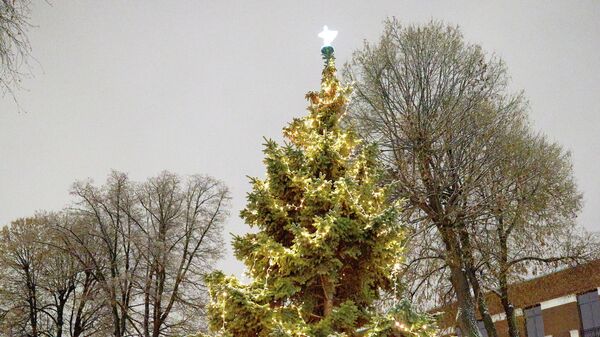 В посольстве Британии рассказали о рождественской елке в резиденции посла