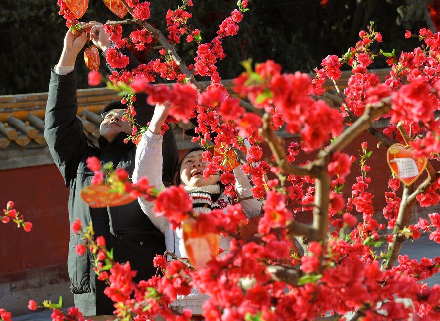 Пара вешает пожелания на персиковое дерево в канун китайского Нового года в Пекине