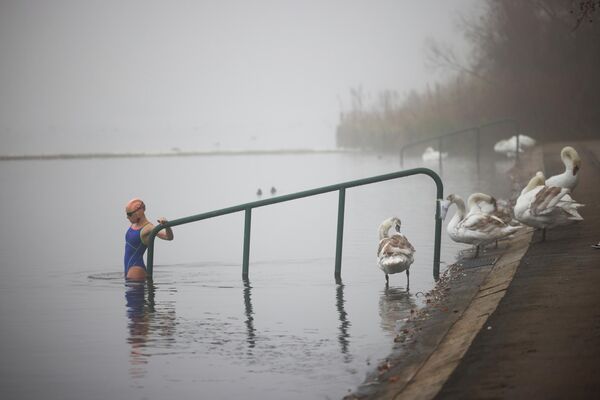 Женщина заходит в воду озера Серпентин в Гайд-парке 