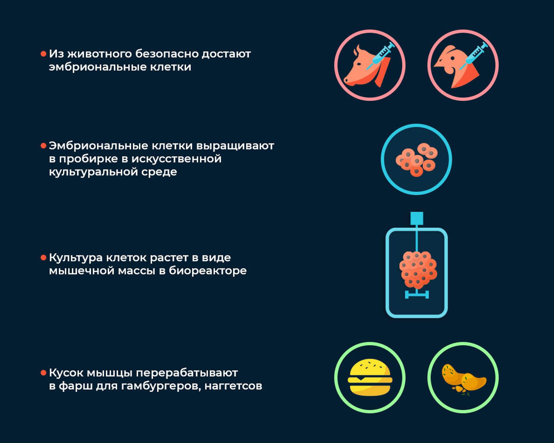 Стейк без капли крови. Создано самое чистое мясо - РИА Новости, 12.12.2020