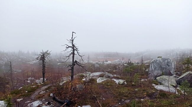 Ландшафт на горе Воттоваара в Карелии