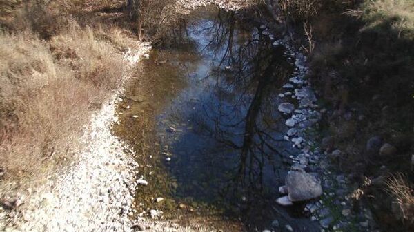 Вода по графику: в Крыму пересыхают реки и водохранилища