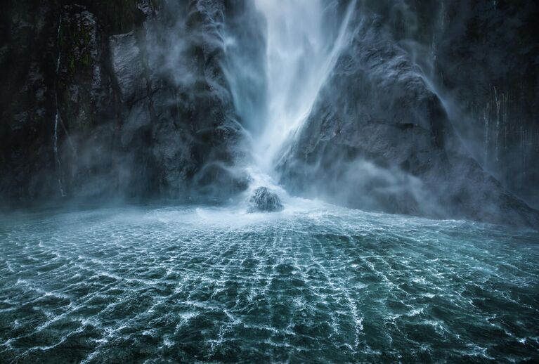 Joshua Cripps. Работа победителя конкурса Nature Photographer of the Year 2020