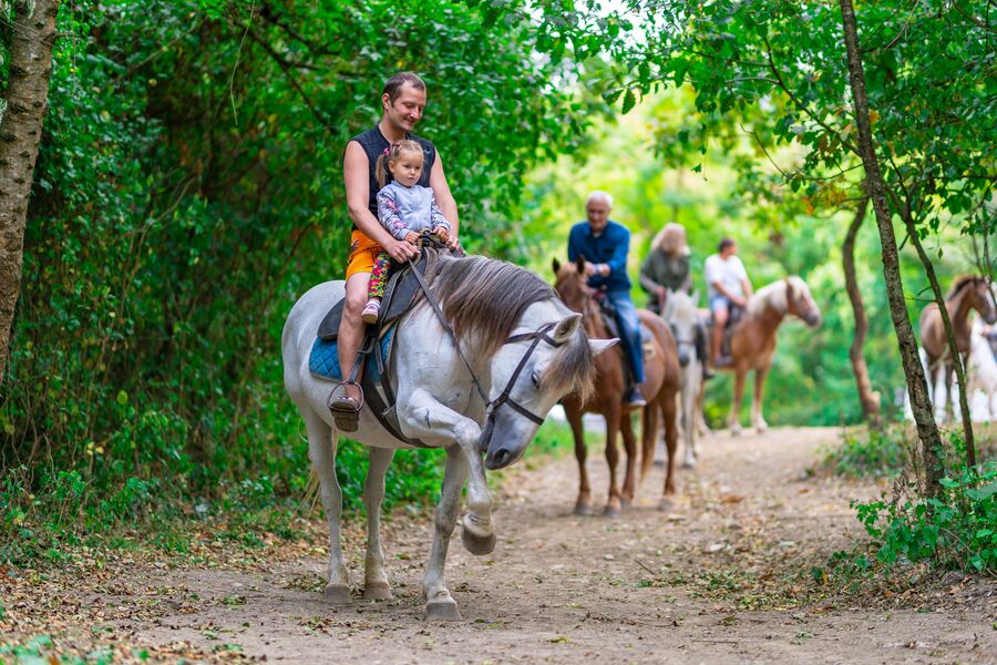 Конные прогулки в Краснодарском крае