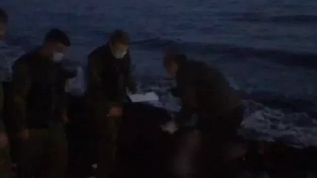 Место обнаружения тело подозреваемого в двойном убийстве в Армавире - РИА Новости, 1920, 14.12.2020