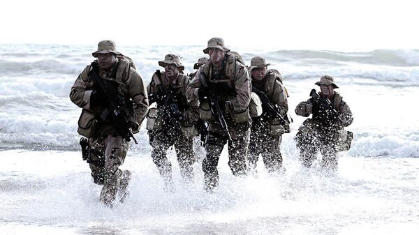 Бойцы спецназа Navy SEAL (США)