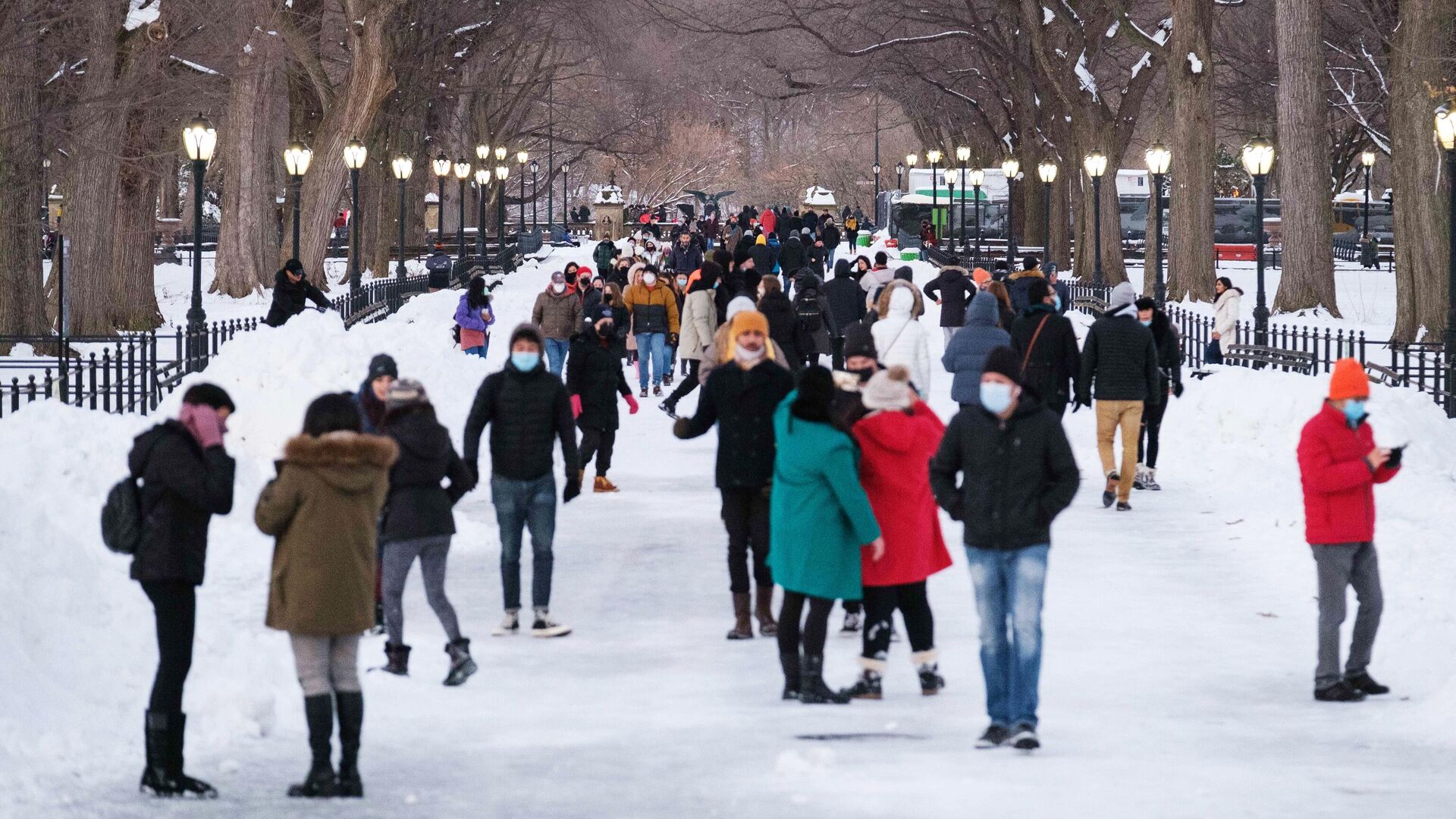 Люди гуляют в Центральном парке Нью-Йорка после снегопада - РИА Новости, 1920, 09.01.2021