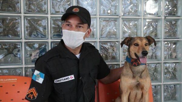 Бразильский Мухтар: бездомный пес стал полицейским