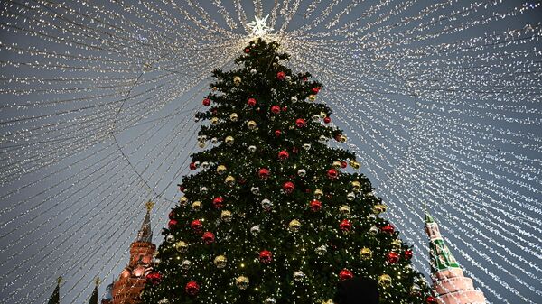 Праздничная инсталляция и новогодняя елка в Москве