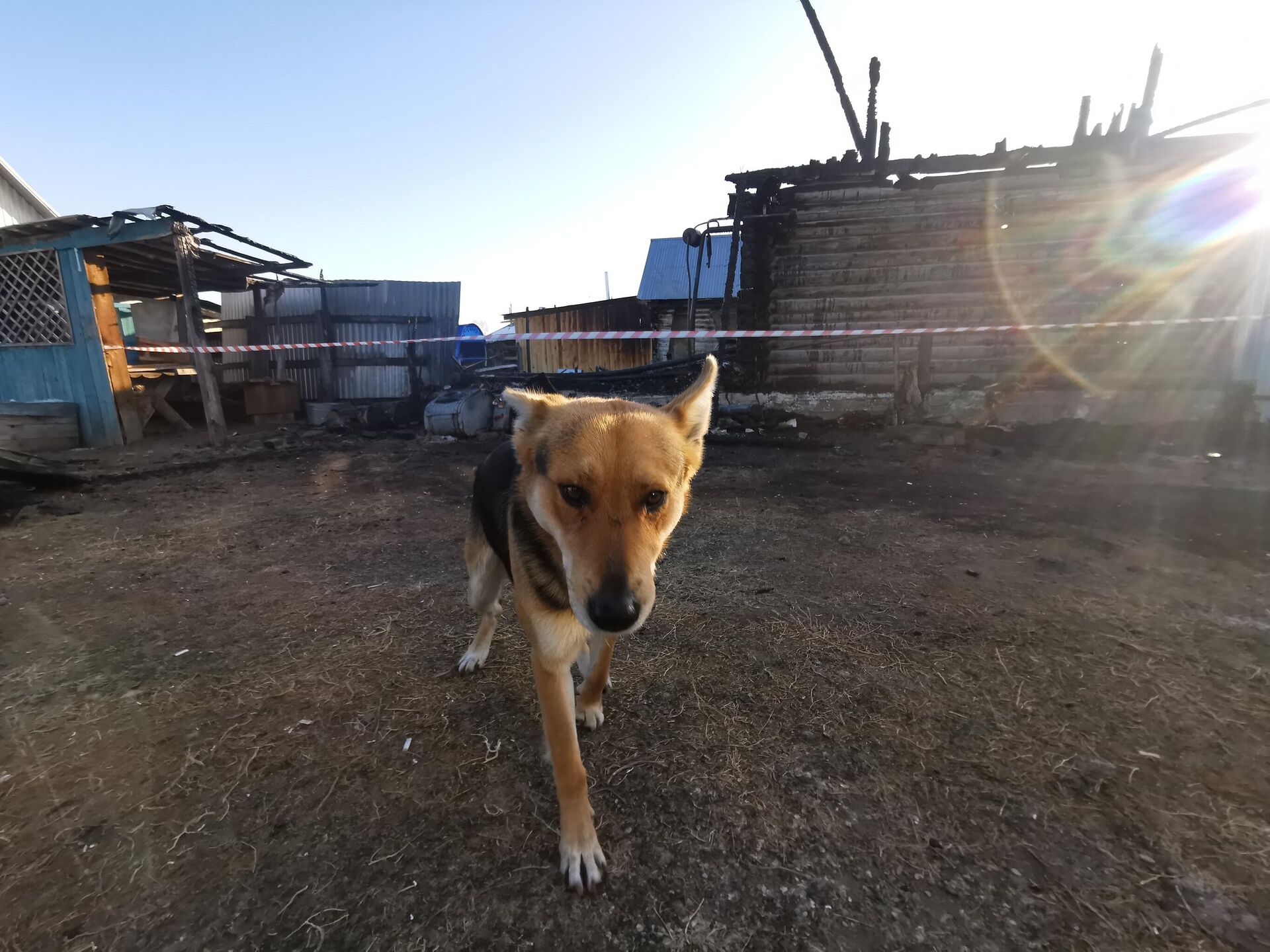 Ситуация на месте пожара в доме престарелых в Ишбулдино в Башкирии - РИА Новости, 1920, 21.12.2020