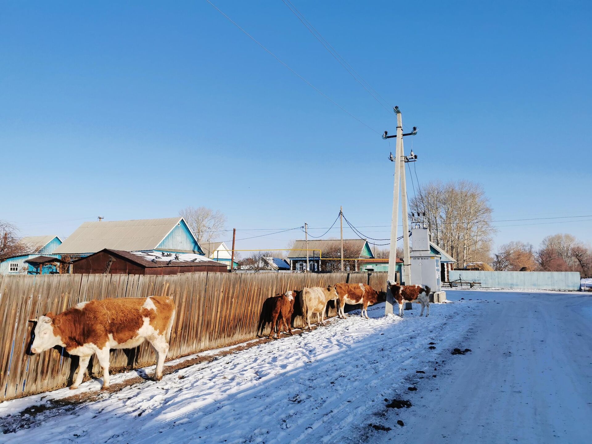Ситуация на месте пожара в доме престарелых в Ишбулдино в Башкирии - РИА Новости, 1920, 21.12.2020