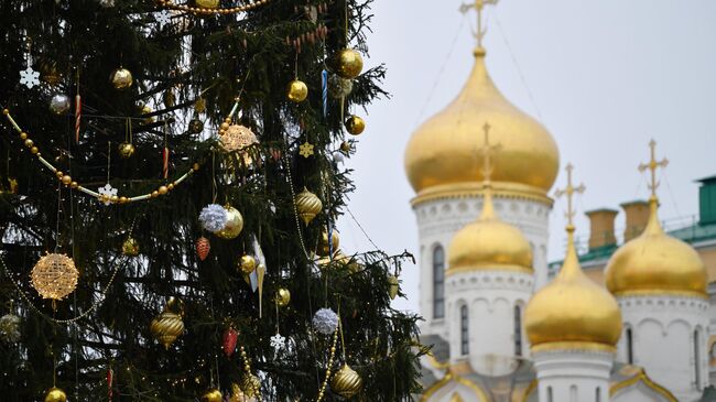 Украшение новогодней елки на Соборной площади Московского Кремля