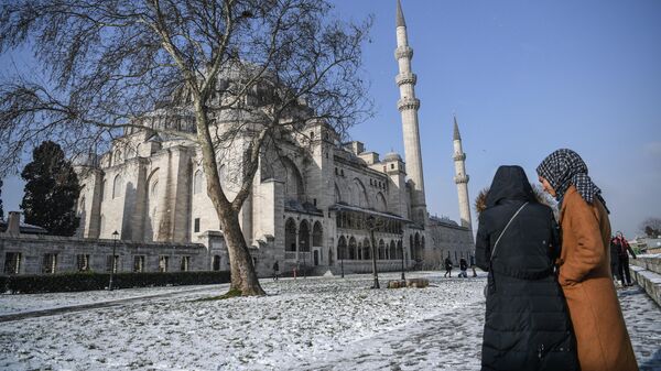 Женщины стоят перед мечетью Сулеймание в Стамбуле