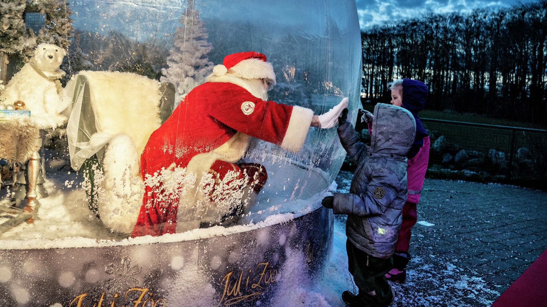 Санта в пластиковом пузыре в зоопарке Ольборга - РИА Новости, 1920, 02.01.2021
