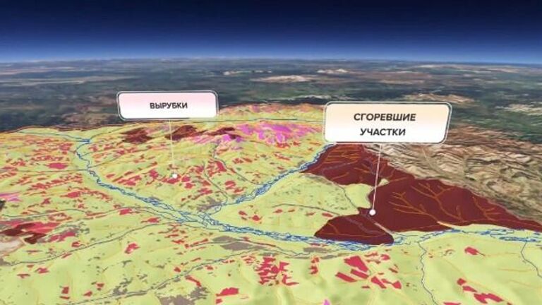 Построение трехмерной цифровой модели леса на основе спутниковых снимков