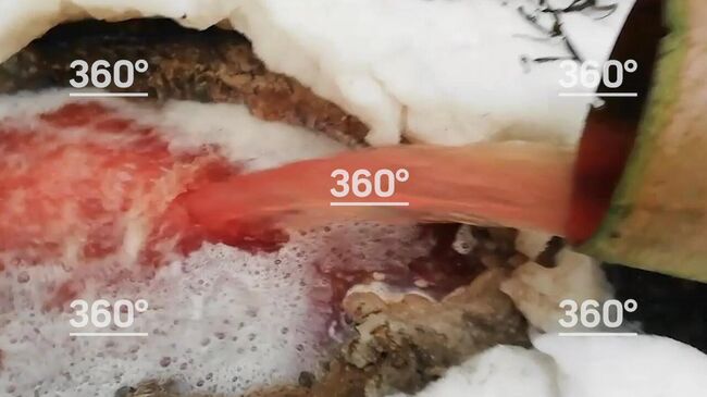 Кровавая река потекла по лесу в Карелии