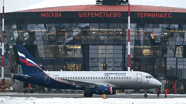 Московские аэропорты в условиях снегопада работают штатно