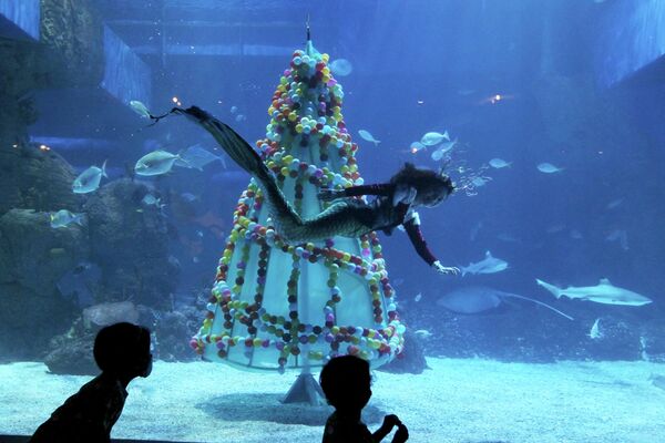 Дайвер проплывает мимо рождественской елки в аквариуме Джакарты