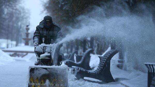 Сотрудник коммунальных служб убирает снег в парке Северного речного вокзала в Москве