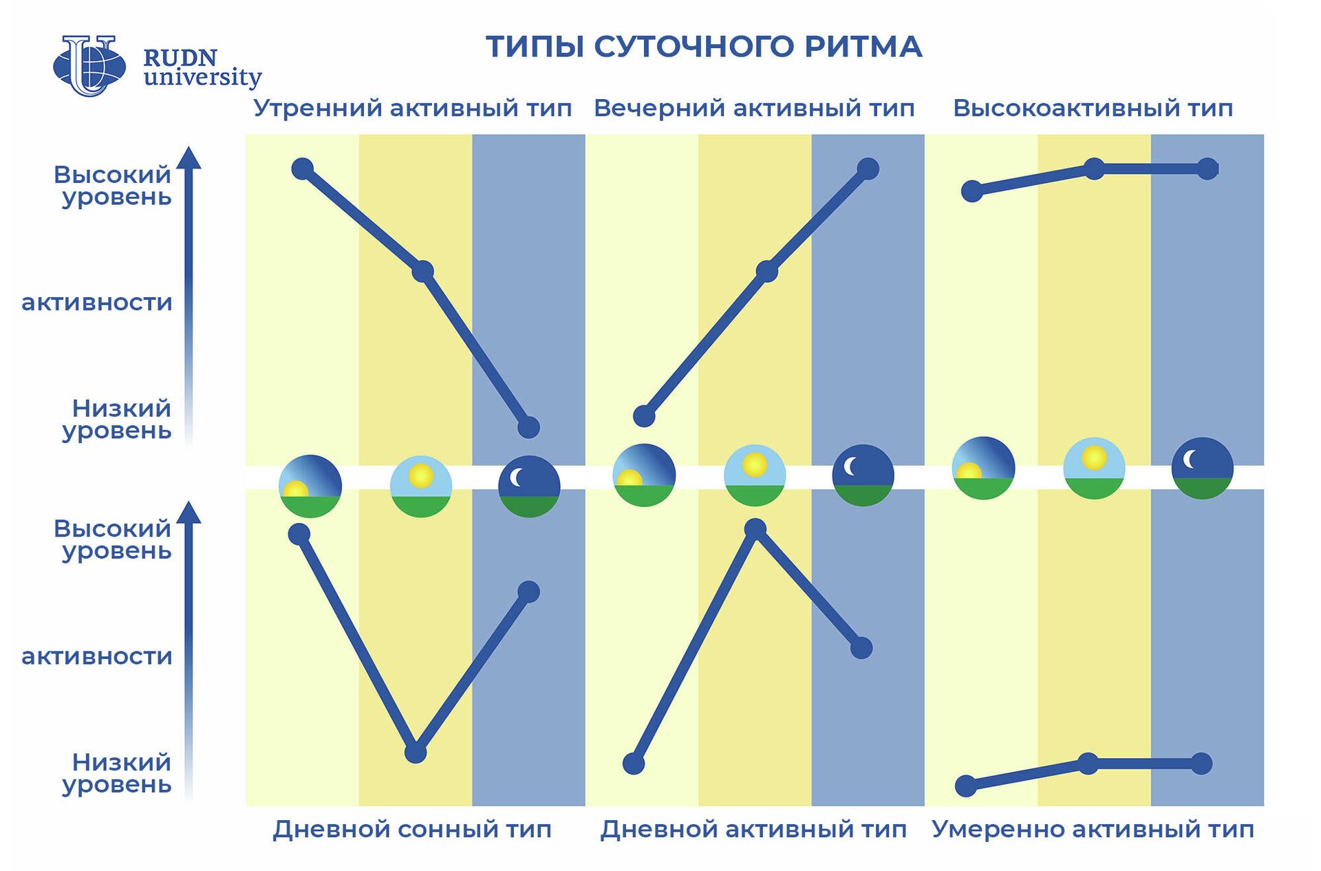 Типы суточного ритма - РИА Новости, 1920, 28.12.2020