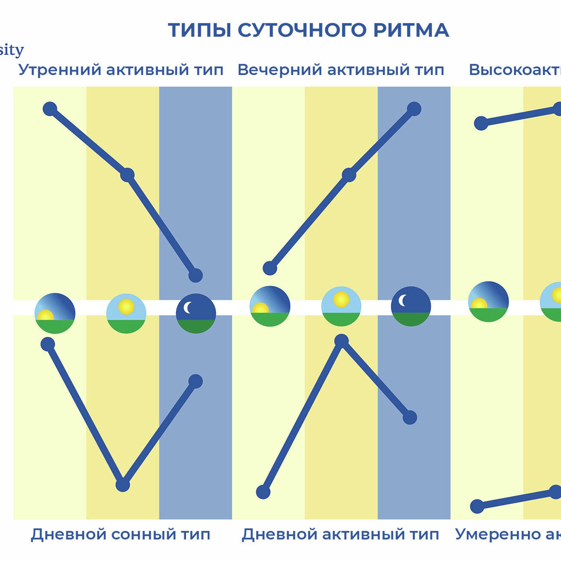 Как узнать свой хронотип и спать в ритме с внутренними часами - РИА  Новости, 02.01.2021