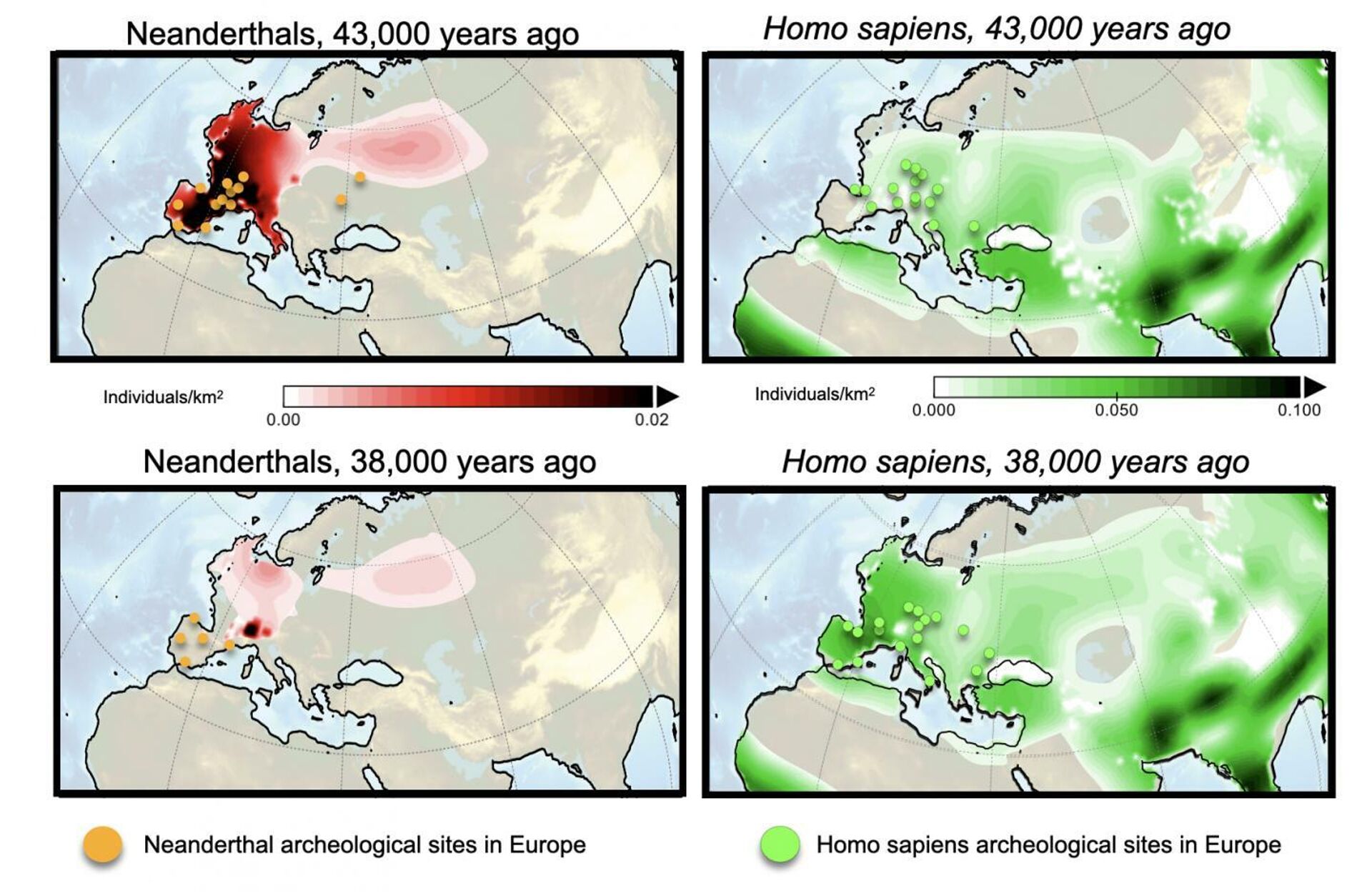 Результаты компьютерного моделирования плотности населения неандертальцев (слева) и Homo sapiens (справа) в Европе 43 000 лет назад (вверху) и 38 000 лет назад (внизу). Оранжевые и зеленые кружки обозначают места археологических находок неандертальцев и Homo sapiens соответственно - РИА Новости, 1920, 28.12.2020