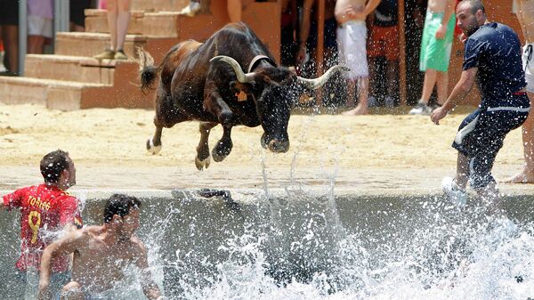 Бык прыгает в море во время фестиваля Быки в море в Испании
