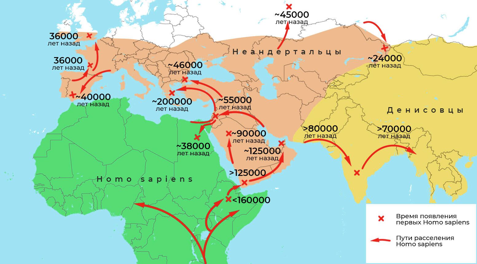 Пути расселения  Homo sapiens за пределы Африки - РИА Новости, 1920, 28.12.2020