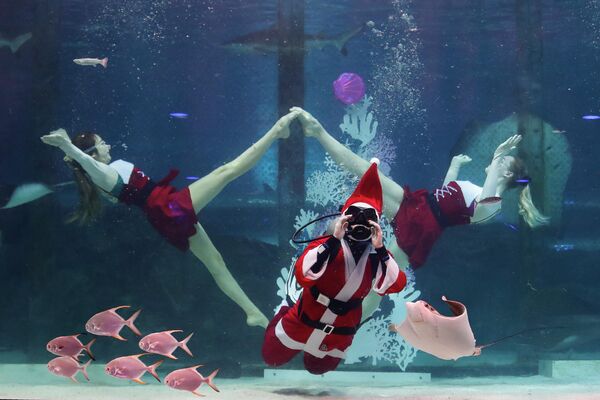Дайверы, одетые в костюмы Санта-Клауса во время мероприятия в аквариуме Coex в Сеуле, Южная Корея