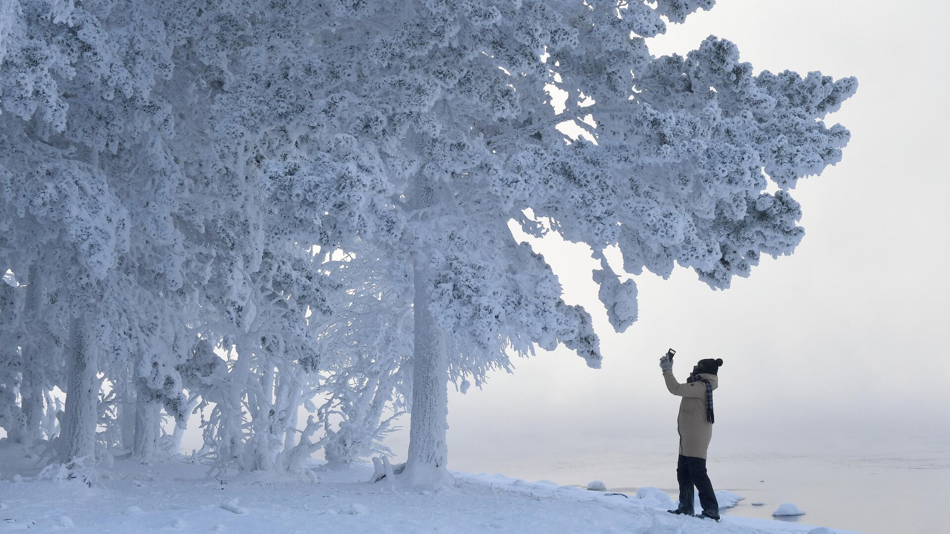 Женщина снимает на смартфон деревья в лесу на берегу Енисея в Красноярском крае в 30-градусный мороз - РИА Новости, 1920, 30.12.2021