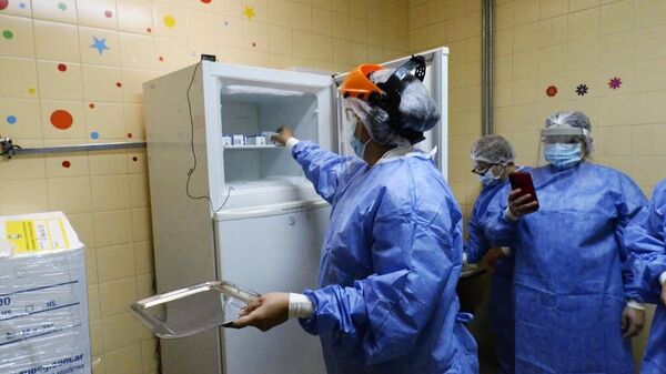 Медицинские работники перед вакцинацией населения российским препаратом от коронавируса Sputnik V (Гам-КОВИД-Вак) в Буэнос-Айресе