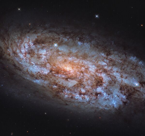 Галактика NGC 1792 в созвездии Голубь