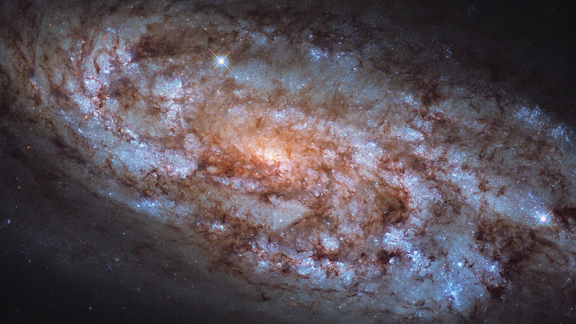 Галактика NGC 1792 в созвездии Голубь - РИА Новости, 1920, 20.01.2021