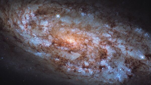 Галактика NGC 1792 в созвездии Голубь