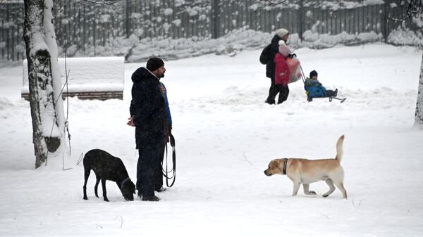 Мужчина гуляет с собакой в сквере на Ленинском проспекте в Москве