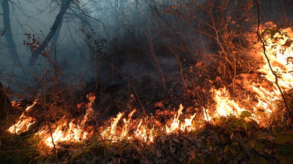 Природный пожар в Лазаревском районе около села Барановка на территории Сочинского национального парка