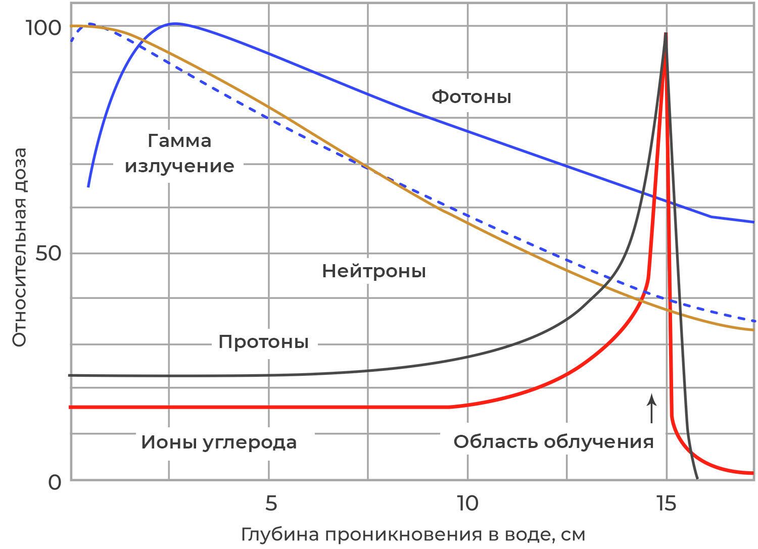 Точно в цель. В России разработали новый способ борьбы с метастазами - РИА  Новости, 04.02.2022