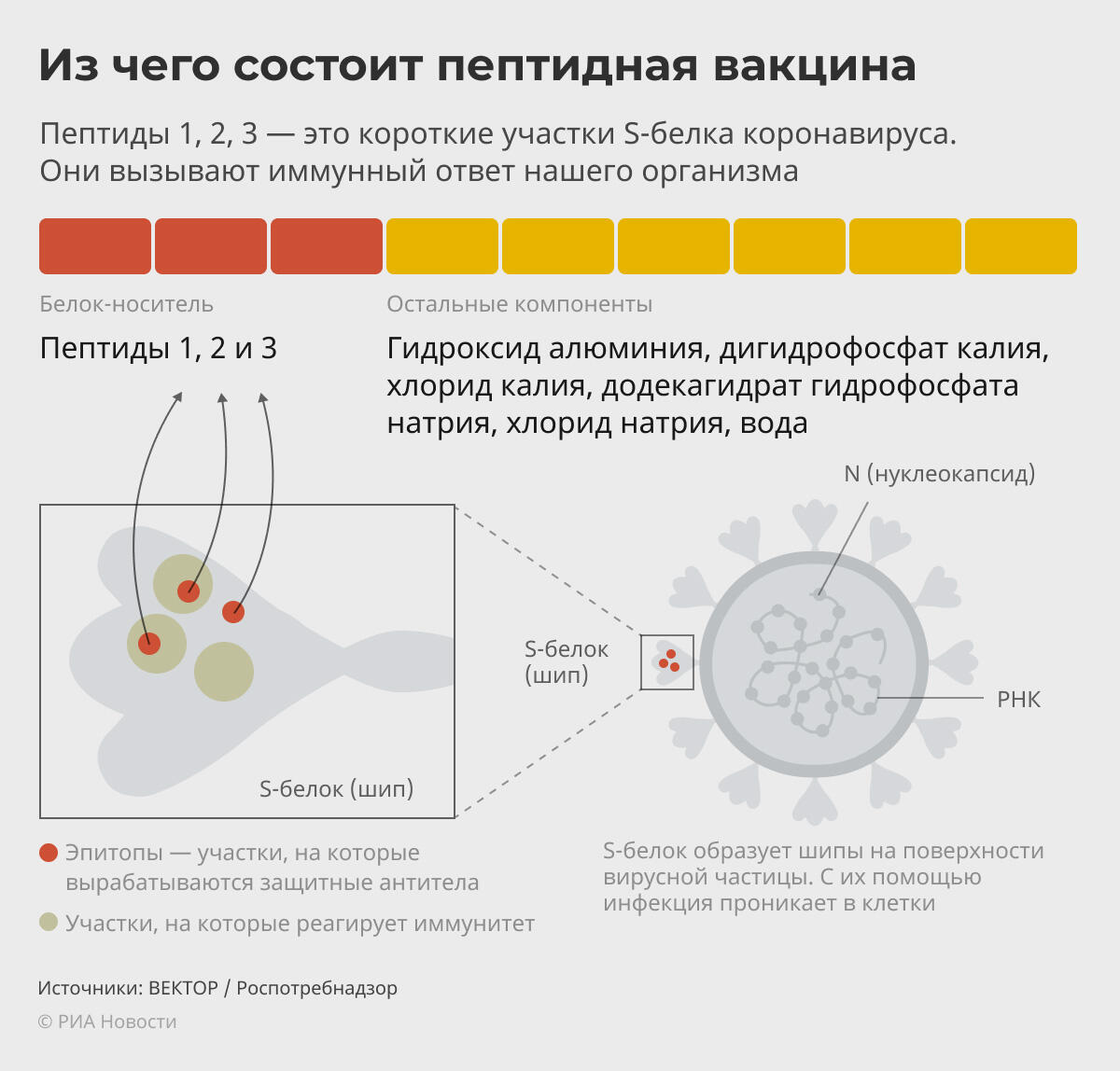 Что ждать от 