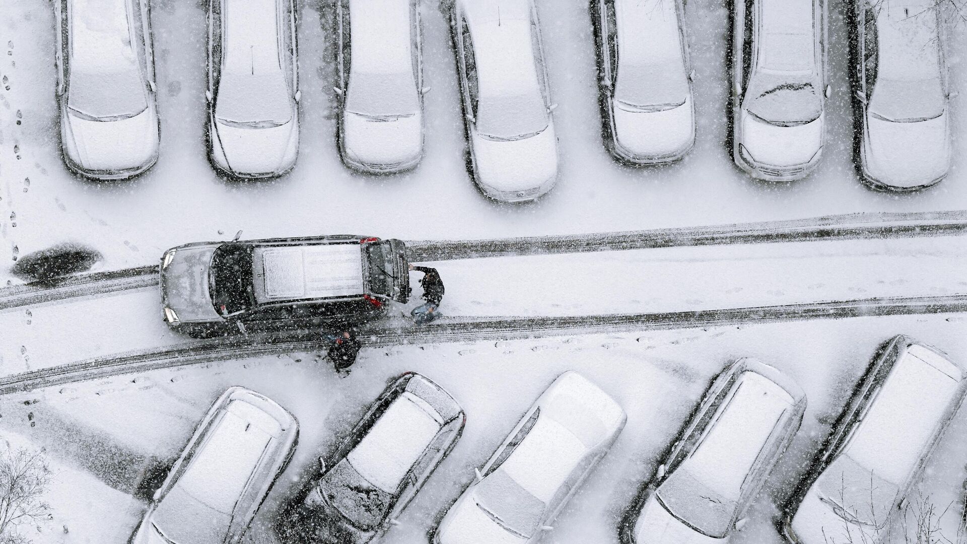 Автомобили, занесенные снегом - РИА Новости, 1920, 06.03.2021