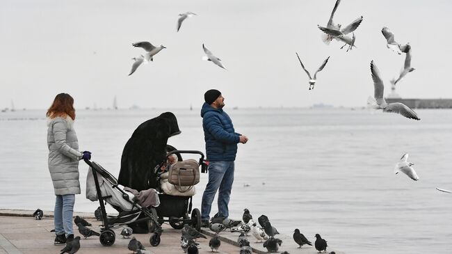 Люди кормят чаек на набережной в Севастополе