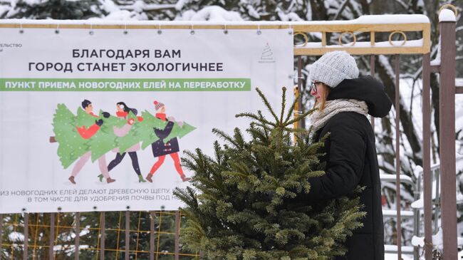 Утилизация елок в Москве