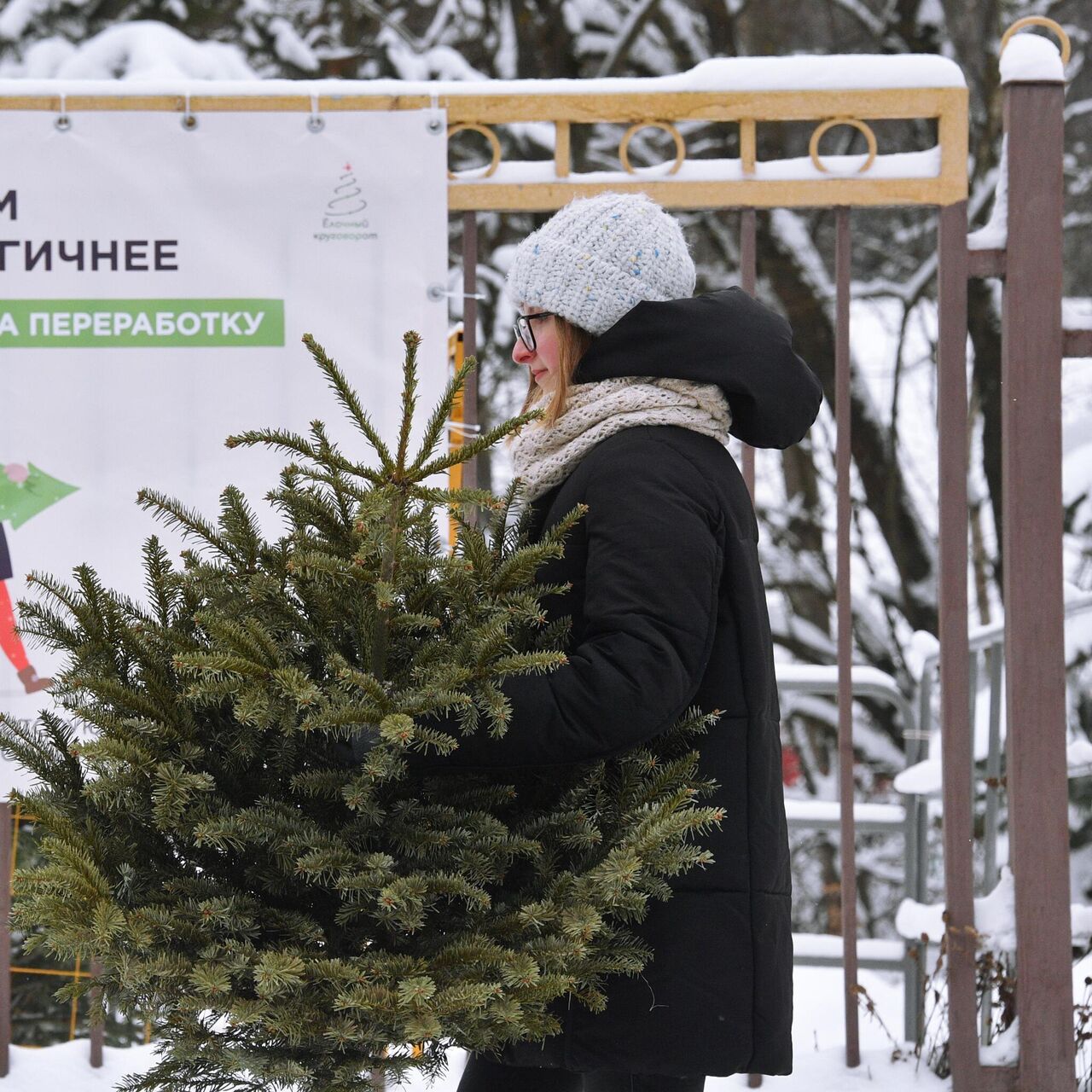 В труху ее! Как новогодние елки получают вторую жизнь - Недвижимость РИА  Новости, 15.01.2021