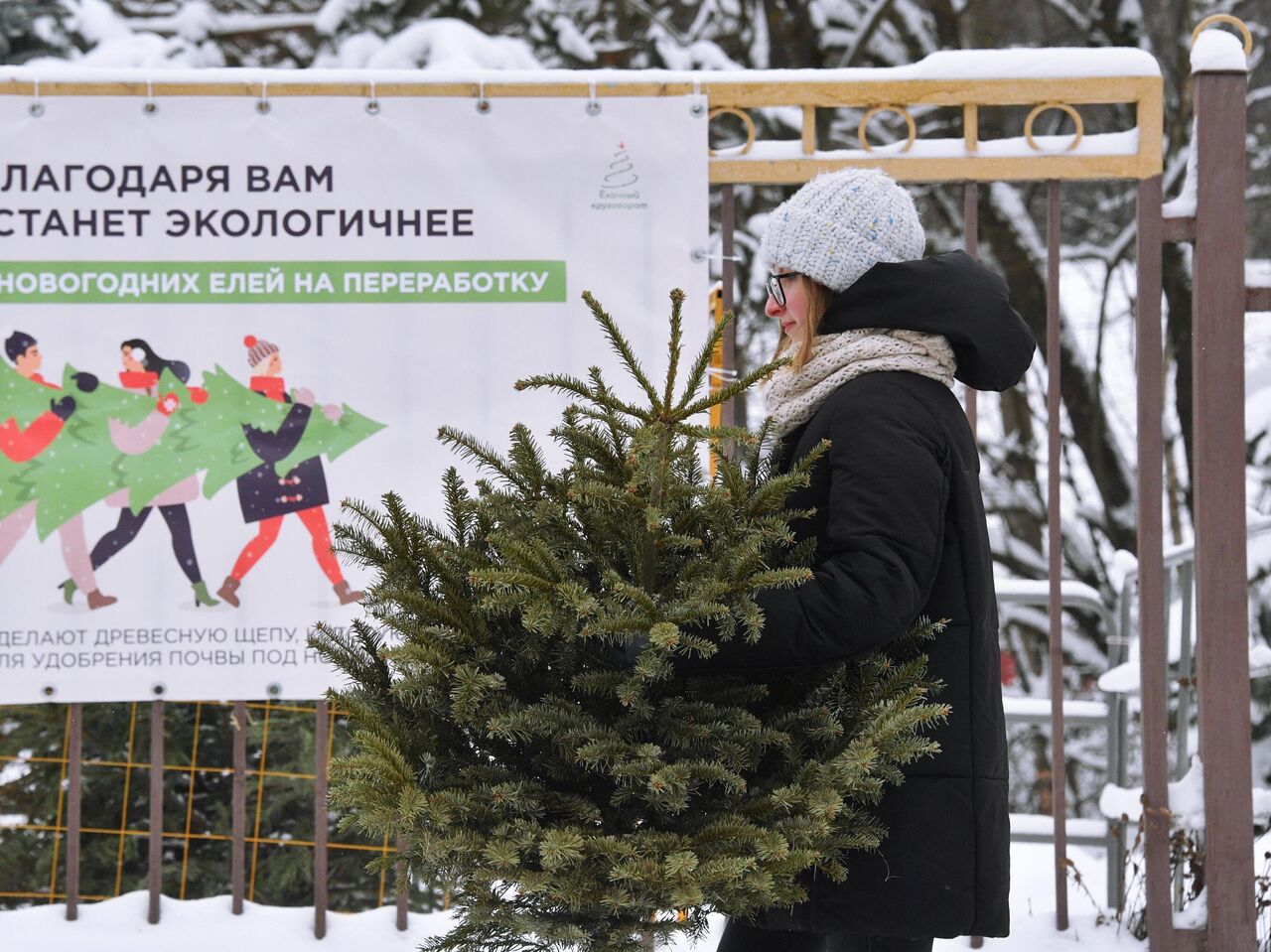 В труху ее! Как новогодние елки получают вторую жизнь - Недвижимость РИА  Новости, 15.01.2021