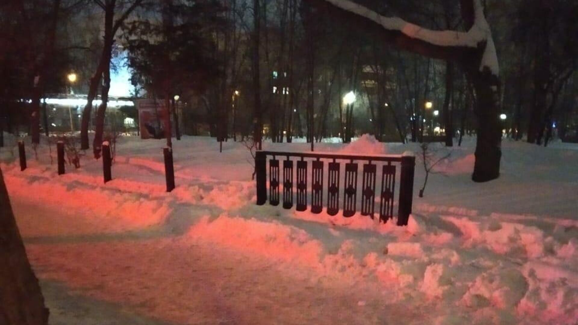 В Центральном парке Новосибирска была пресечена попытка кражи чугунного забора - РИА Новости, 1920, 19.01.2021